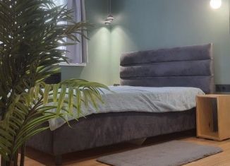 Аренда 1-комнатной квартиры, 33 м2, Ярославль, улица Свердлова, 70