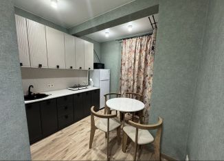 Аренда 2-комнатной квартиры, 38 м2, Сочи, улица Искры, 88, микрорайон Кудепста