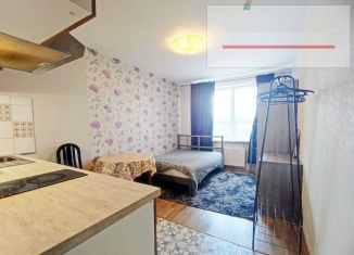 Аренда квартиры студии, 23 м2, Мурино, проспект Авиаторов Балтики, 9к3, ЖК Виктория