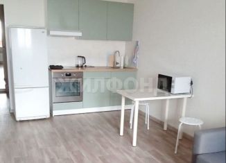 Сдаю в аренду квартиру студию, 30 м2, Новосибирск, улица Сержанта Коротаева, 9/1, ЖК Черёмушки