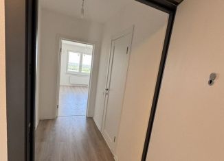 Сдаю квартиру студию, 20.8 м2, Санкт-Петербург, Пахомовская улица, 14к2, метро Академическая
