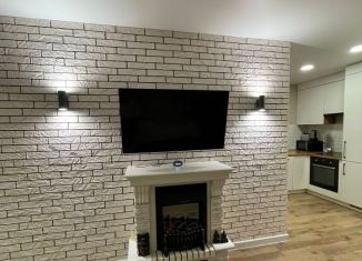 Сдается 1-ком. квартира, 45 м2, село Раздольное, Тепличная улица, 75к1