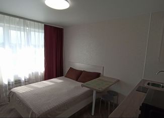 Сдается в аренду 1-комнатная квартира, 16.3 м2, Кемеровская область, улица Ворошилова, 12