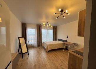 Сдается в аренду квартира студия, 25.5 м2, деревня Новое Девяткино, Главная улица, 8, ЖК Заречный Парк