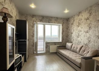 Аренда квартиры студии, 29 м2, деревня Куюки, Молодёжная улица, 29