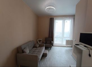 Сдается квартира студия, 28 м2, Тула, Оборонная улица, 102Б, ЖК Smart-квартал Современник