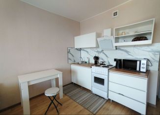 Сдача в аренду квартиры студии, 27 м2, посёлок Парголово, улица Михаила Дудина, 10