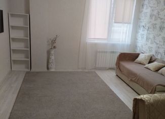 Квартира в аренду студия, 32 м2, Горячий Ключ, Псекупская улица, 149А