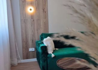 Однокомнатная квартира на продажу, 38 м2, Чебоксары, улица Юрия Гагарина, 47к4