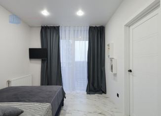 Продается 1-комнатная квартира, 29.4 м2, Калининград, 3-я Большая Окружная улица, 243