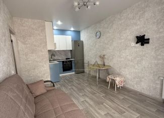 Сдается в аренду однокомнатная квартира, 38 м2, Татарстан, улица Раскольникова, 9