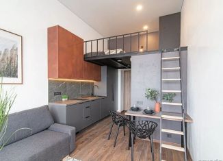 Продажа квартиры студии, 17 м2, Санкт-Петербург, 7-я линия Васильевского острова, 26, Василеостровский район