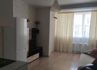 Продажа квартиры студии, 27.5 м2, посёлок Российский, Парижская улица, 5/3