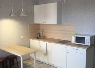 Сдается квартира студия, 23.1 м2, Республика Башкортостан, улица Архитектора Калимуллина, 1