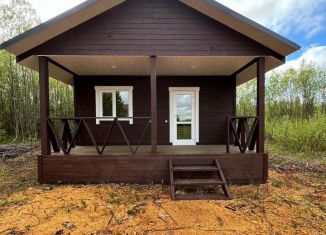 Продаю дом, 40 м2, деревня Головизнины, улица Победы, 1