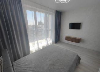 Продается квартира студия, 27 м2, Ростов-на-Дону, ЖК Пятый Элемент, улица Ерёменко, 110/2с1