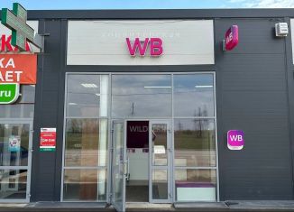 Продажа торговой площади, 46.4 м2, село Михайловка, улица Дениса Булякова, 1/1