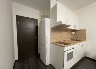 Продаю квартиру студию, 25 м2, Санкт-Петербург, проспект Ветеранов, 183, Красносельский район