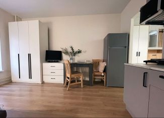 Квартира в аренду студия, 20 м2, Люберцы, улица 8 Марта, 14к1, ЖК Люберцы Парк
