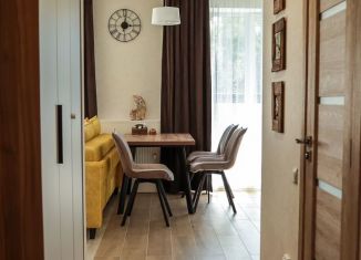 Сдача в аренду квартиры студии, 34 м2, Карелия, Вьюжный проезд, 12