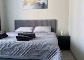 Продажа 1-комнатной квартиры, 41.7 м2, посёлок Западный, улица имени Ефрейтора Потехина, 2