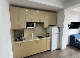 Квартира на продажу студия, 27 м2, Сочи, Волжская улица, 34/4, микрорайон Мамайка