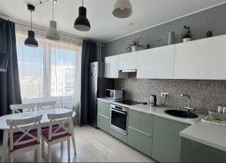 Двухкомнатная квартира в аренду, 65 м2, Мурино, Скандинавский проезд, 4к1, ЖК Эланд