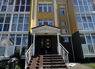 Продам 1-комнатную квартиру, 41.3 м2, деревня Бакеево, квартал Бакеево Парк, к11