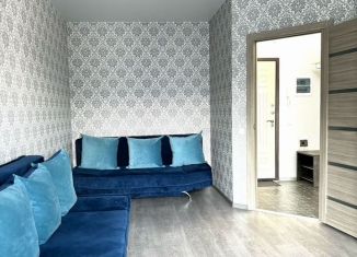 Аренда однокомнатной квартиры, 38 м2, Казань, улица Николая Ершова, 62Вк1