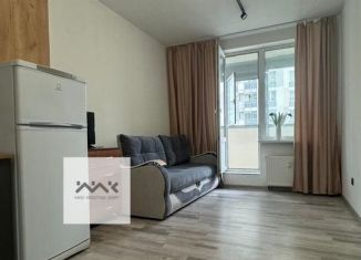 Продажа квартиры студии, 22.6 м2, Кудрово, Столичная улица, 11к2, ЖК Вернисаж