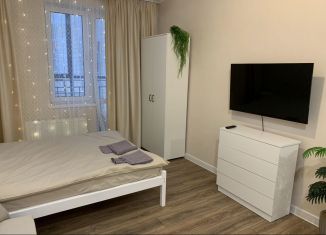 Сдается в аренду квартира студия, 29 м2, Татарстан, Проточная улица, 6