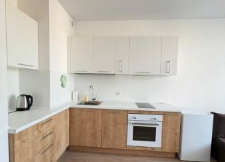 Сдается в аренду квартира студия, 24 м2, Колпино, проспект Ленина, 60