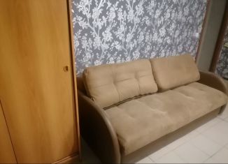 Сдам в аренду 1-ком. квартиру, 52 м2, Вологда, улица Чернышевского, 121