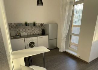 Продается квартира студия, 24 м2, Мурино, Ручьёвский проспект, ЖК Айди Мурино