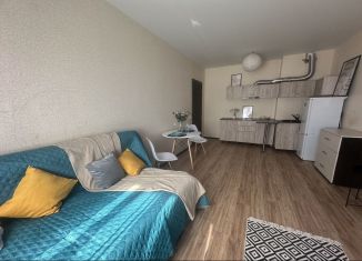 Продаю квартиру студию, 28 м2, Ростов-на-Дону, улица Тимофеева, 14к1, ЖК Платовский