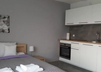 Квартира на продажу студия, 25.2 м2, Санкт-Петербург, Русановская улица, 24, метро Рыбацкое