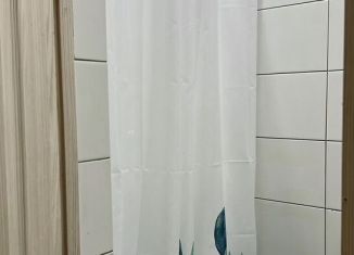 Однокомнатная квартира в аренду, 30 м2, Ростов-на-Дону, Врубовая улица, 55