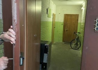 Аренда однокомнатной квартиры, 35 м2, Санкт-Петербург, проспект КИМа, 4А