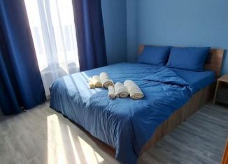 2-комнатная квартира в аренду, 49 м2, Карелия, Балтийская улица, 63