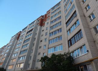 Сдам в аренду 1-комнатную квартиру, 42 м2, Йошкар-Ола, улица Суворова, 40, микрорайон Предзаводской