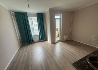 Продам квартиру студию, 27 м2, городской посёлок Янино-1, Ясная улица, 20к1
