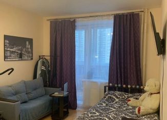 Продажа квартиры студии, 27.1 м2, деревня Новое Девяткино, Арсенальная улица, 5