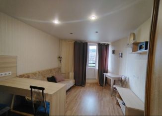 Сдам в аренду квартиру студию, 21.1 м2, Сертолово, Центральная улица, 14к4