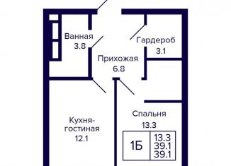 Продается 1-комнатная квартира, 39.1 м2, Новосибирск, метро Золотая Нива, улица Грибоедова, с1