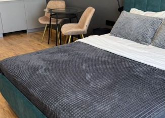 Сдаю в аренду квартиру студию, 30 м2, Санкт-Петербург, Киевская улица, 5к6