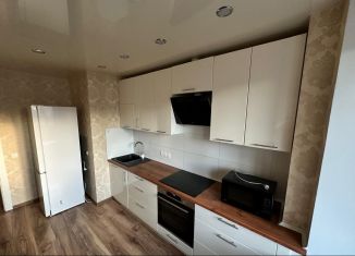 Сдается однокомнатная квартира, 35 м2, Мурино, проспект Авиаторов Балтики, 3к1, ЖК Девятый вал