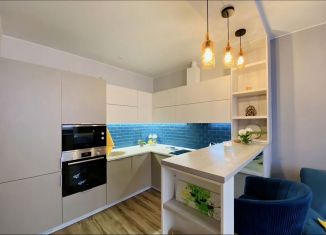 Продается однокомнатная квартира, 48.5 м2, Санкт-Петербург, Афанасьевская улица, 1, Афанасьевская улица