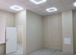 Сдам помещение свободного назначения, 61 м2, Санкт-Петербург, Большая Монетная улица, 22