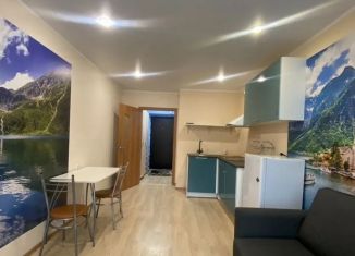 Сдаю квартиру студию, 24 м2, Республика Башкортостан, улица Бориса Перина, 1