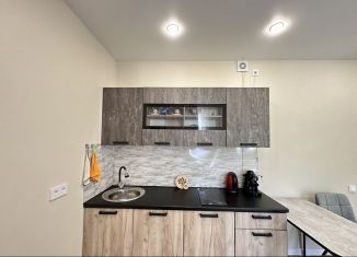 Сдаю в аренду квартиру студию, 27 м2, Сочи, улица Искры, 88к2, микрорайон Кудепста